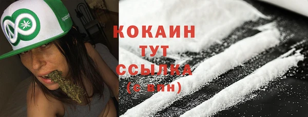 дурь Гусиноозёрск