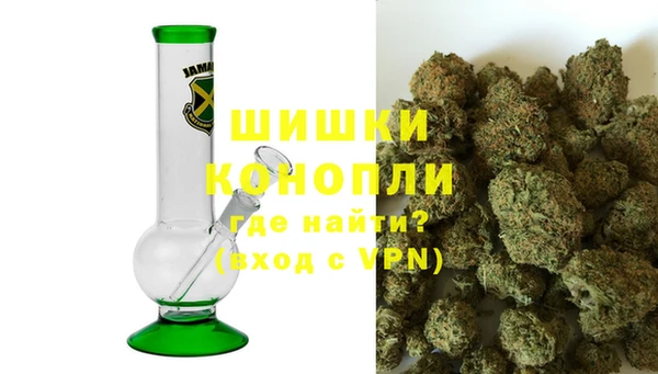 дурь Гусиноозёрск