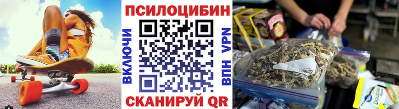 Псилоцибиновые грибы прущие грибы  Вяземский 